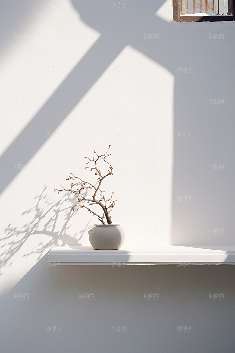 冬天腊梅花花卉中国风摄影图