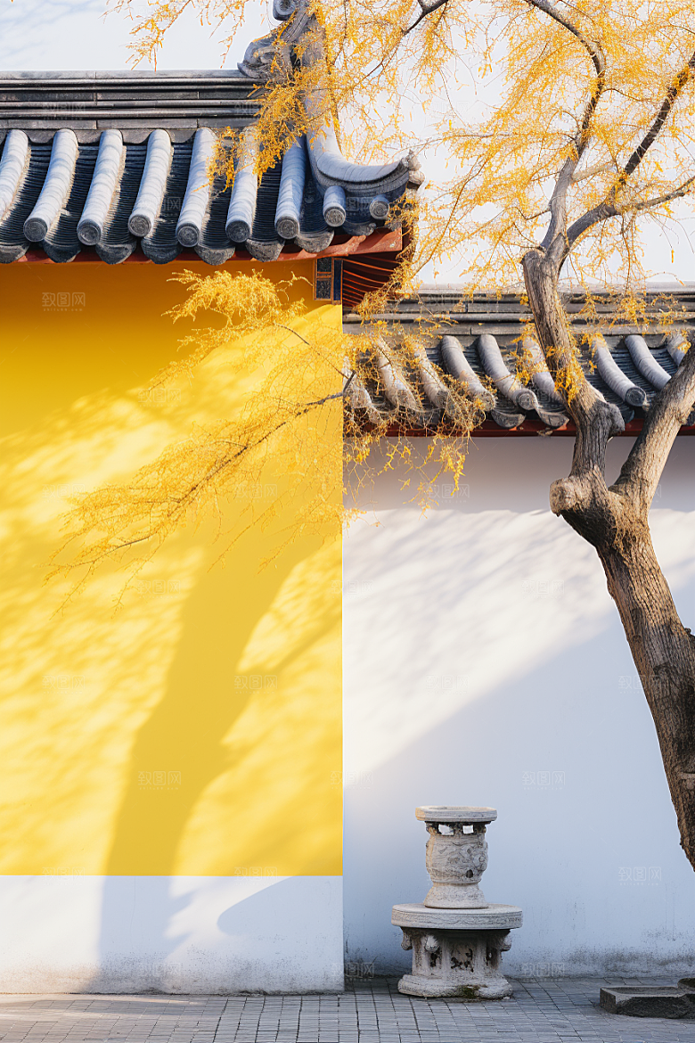 冬天腊梅花优雅植物摄影图