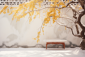 冬天腊梅花植物园林摄影图