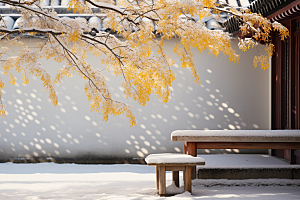 冬天腊梅花传统高清摄影图