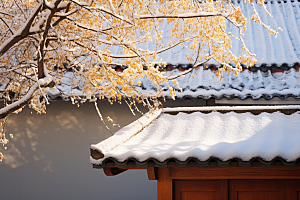 冬天腊梅花传统新中式摄影图