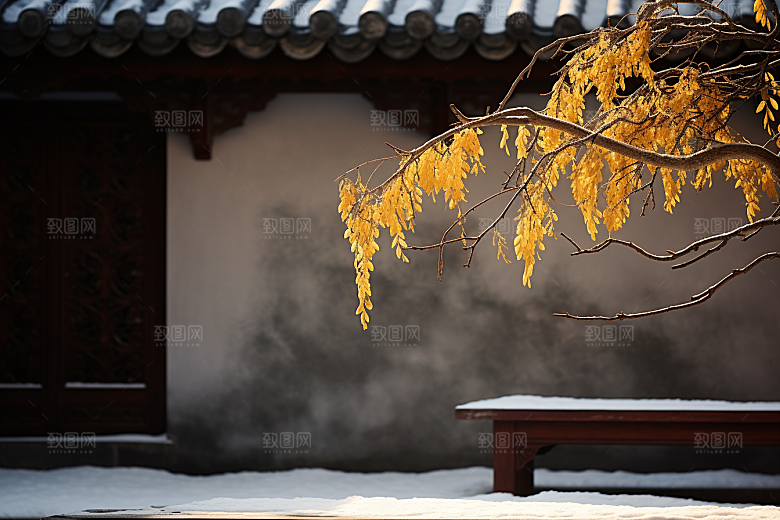 冬天腊梅花传统高清摄影图