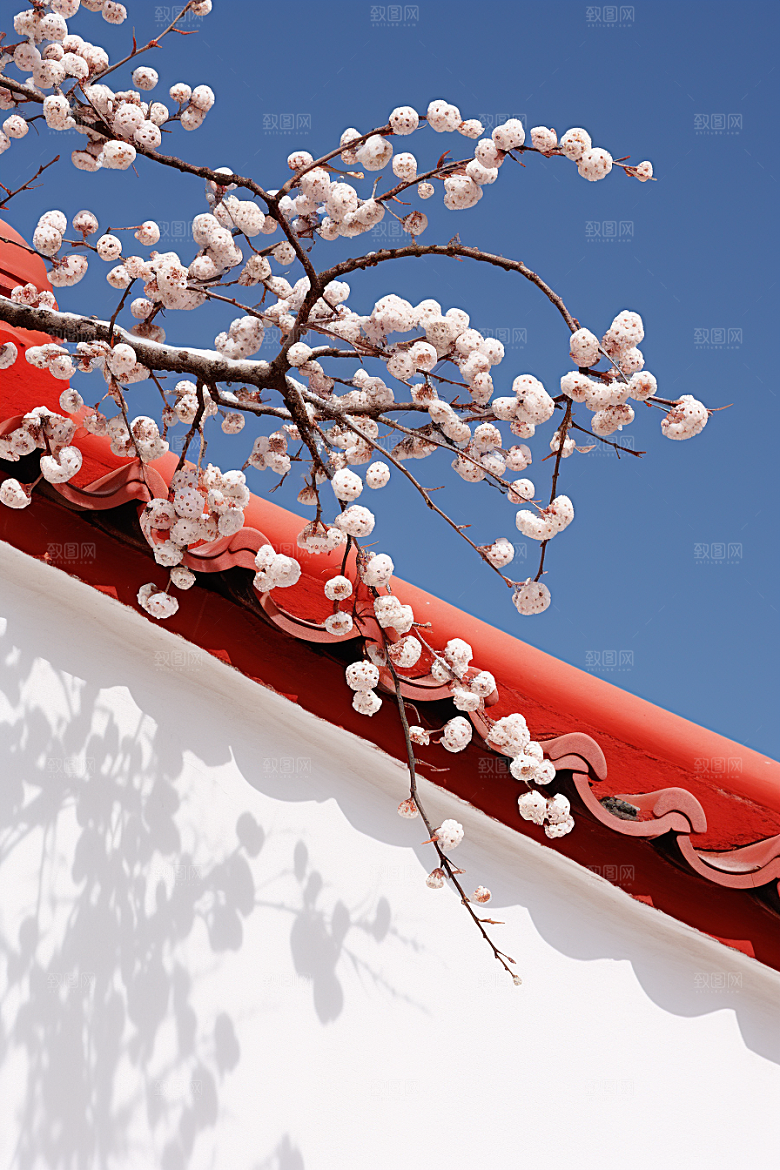 冬天腊梅花园林自然摄影图