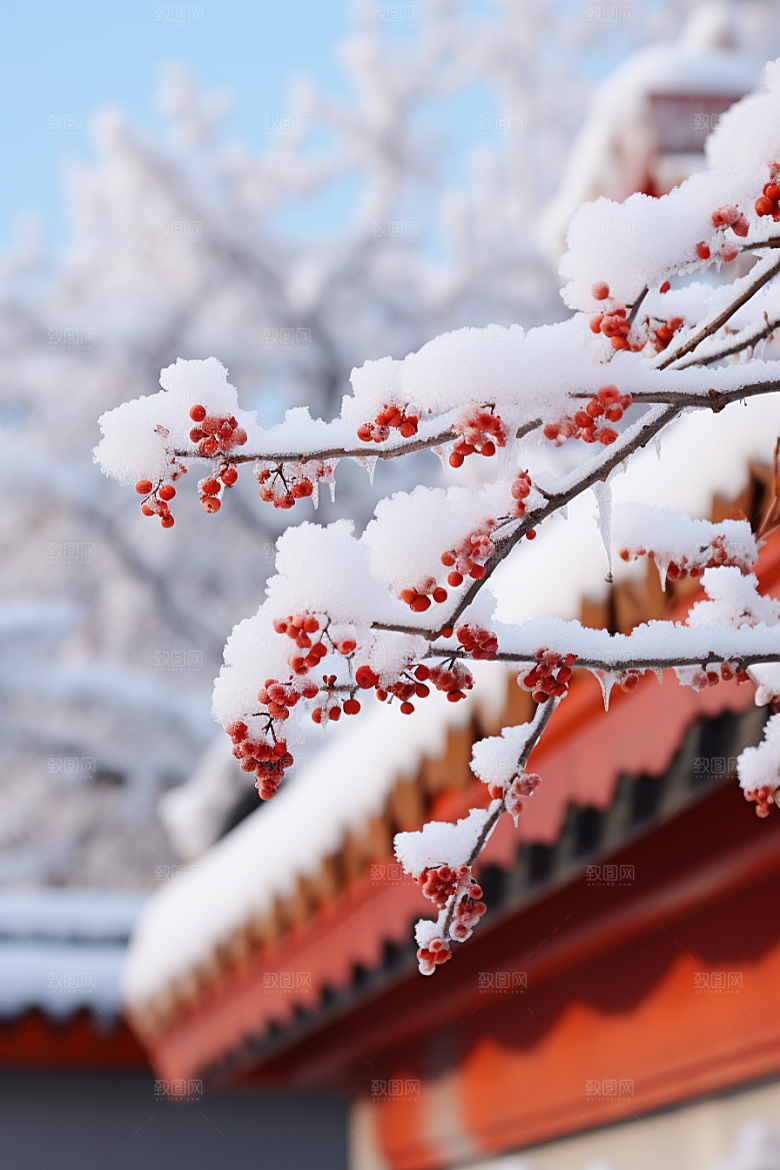 冬天腊梅花花卉高清摄影图