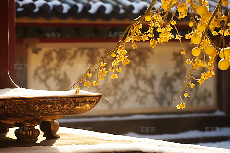 冬天腊梅花寒冷传统摄影图