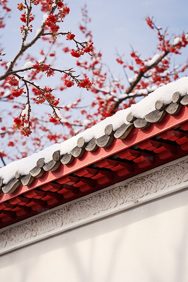 冬天腊梅花芬芳寒冷摄影图