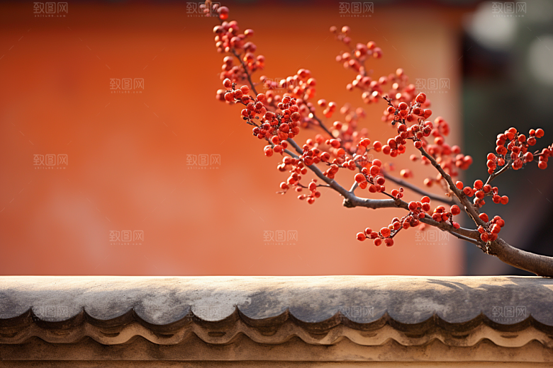 冬天腊梅花自然中国风摄影图