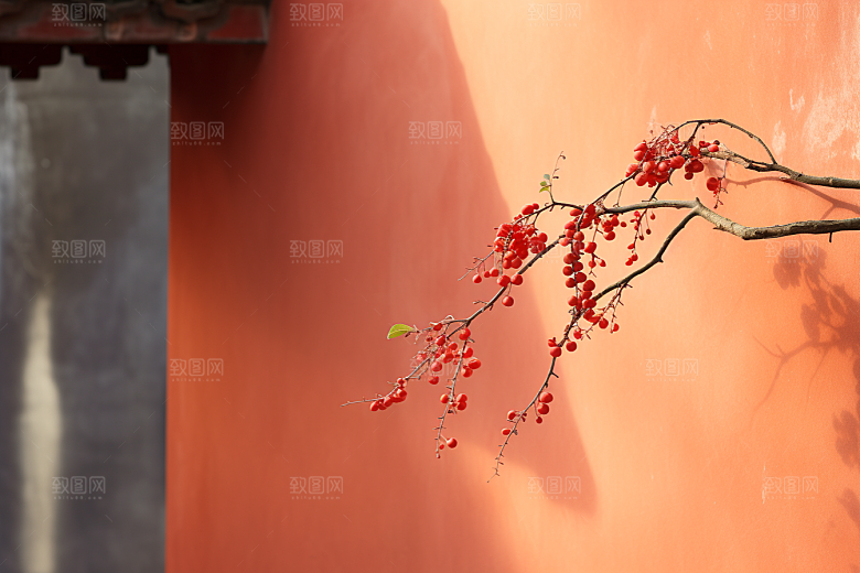 冬天腊梅花新中式园林摄影图