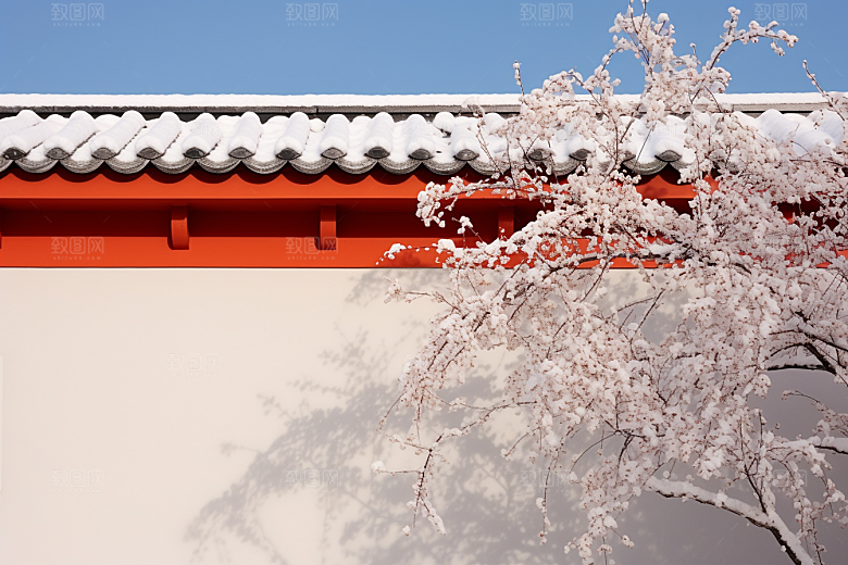 冬天腊梅花冬季芬芳摄影图