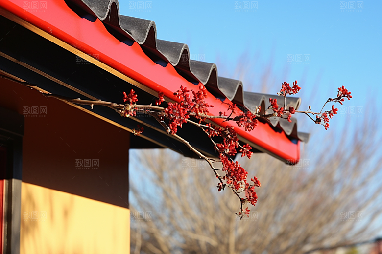 冬天腊梅花优雅芬芳摄影图