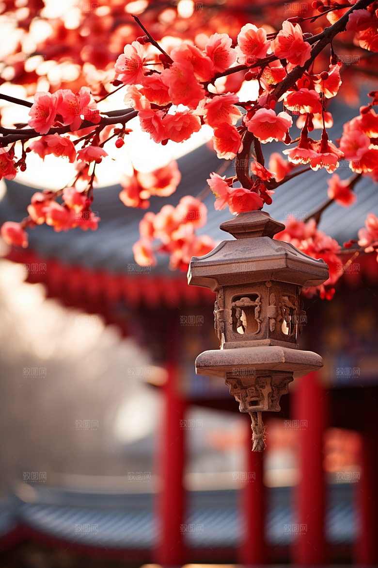 冬天腊梅花中国风园林摄影图