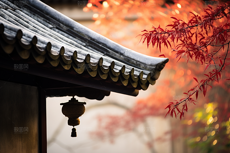 冬天腊梅花新中式传统摄影图