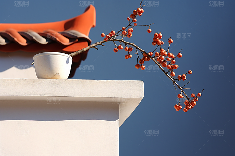 冬天腊梅花优雅冬季摄影图