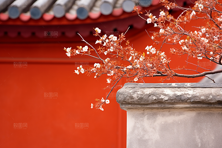 冬天腊梅花园林传统摄影图