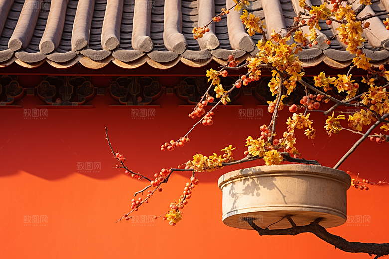 冬天腊梅花园林传统摄影图