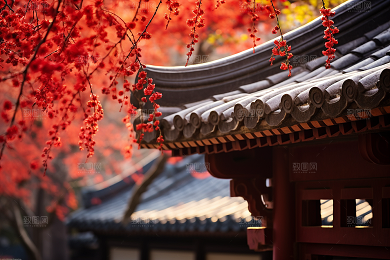 冬天腊梅花自然冬季摄影图