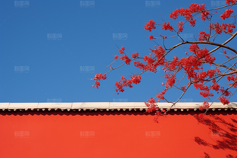 冬天腊梅花传统自然摄影图