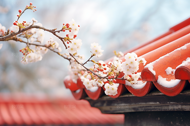 冬天腊梅花优雅花卉摄影图