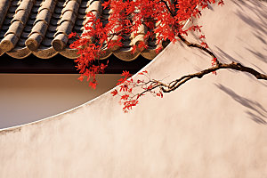 冬天腊梅花芬芳植物摄影图