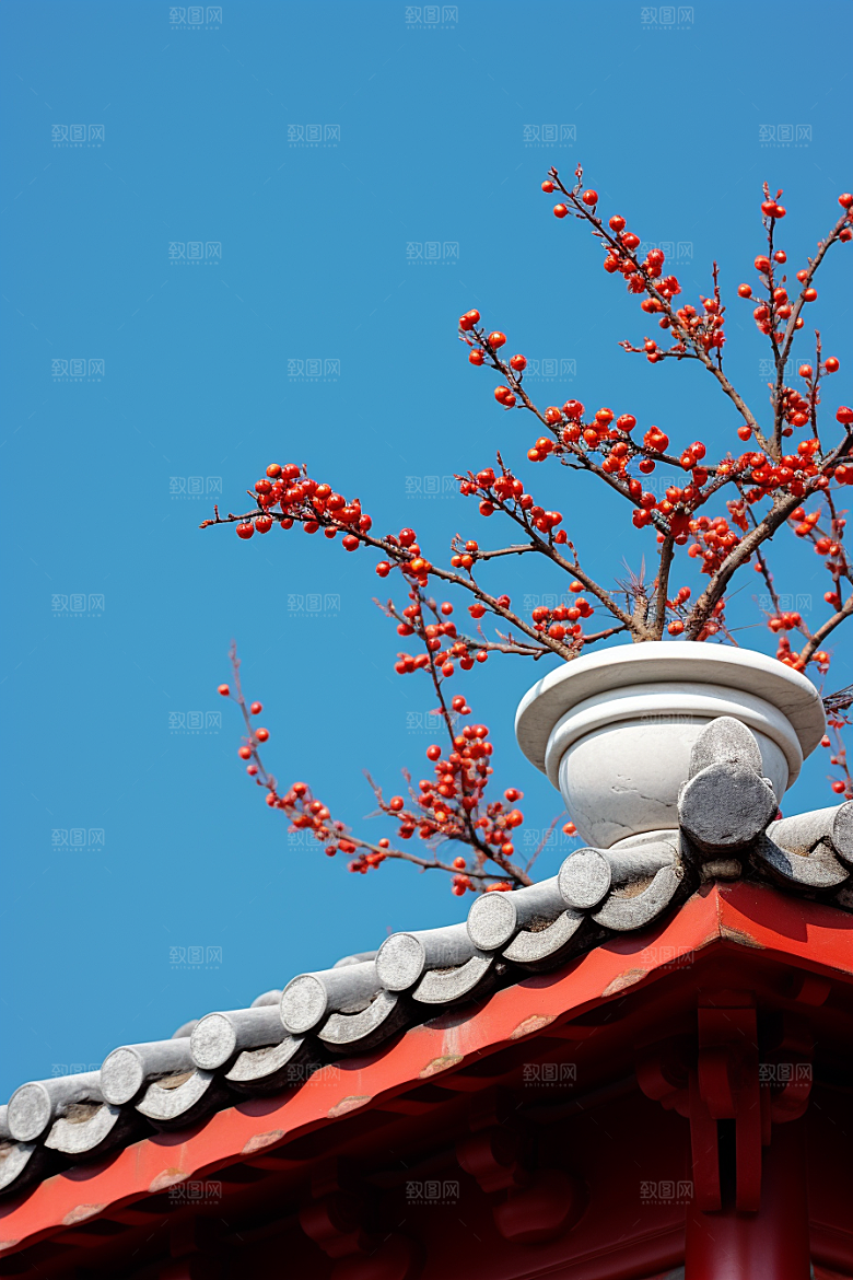 冬天腊梅花芬芳寒冷摄影图