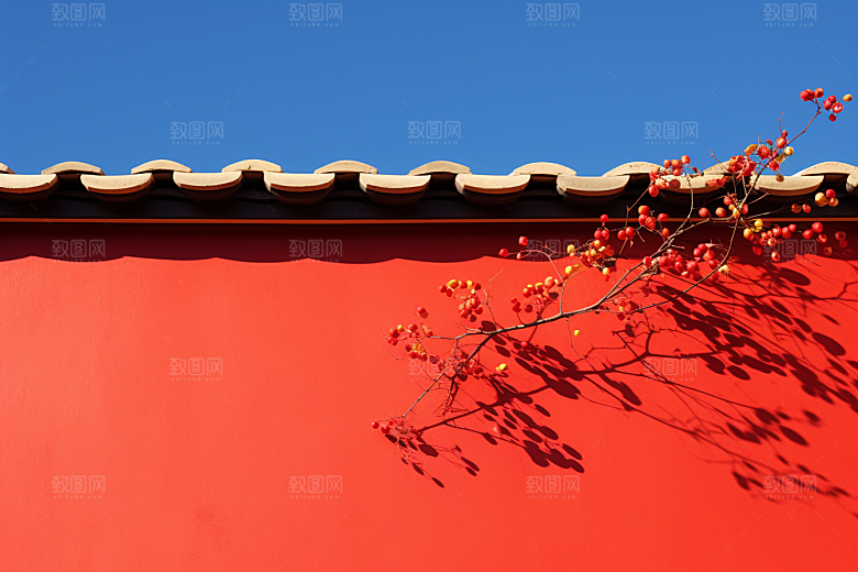 冬天腊梅花新中式寒冷摄影图