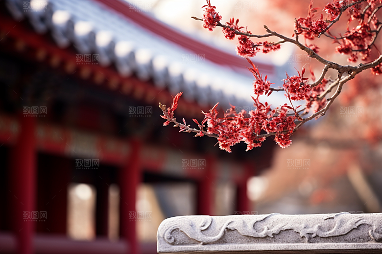 冬天腊梅花植物优雅摄影图