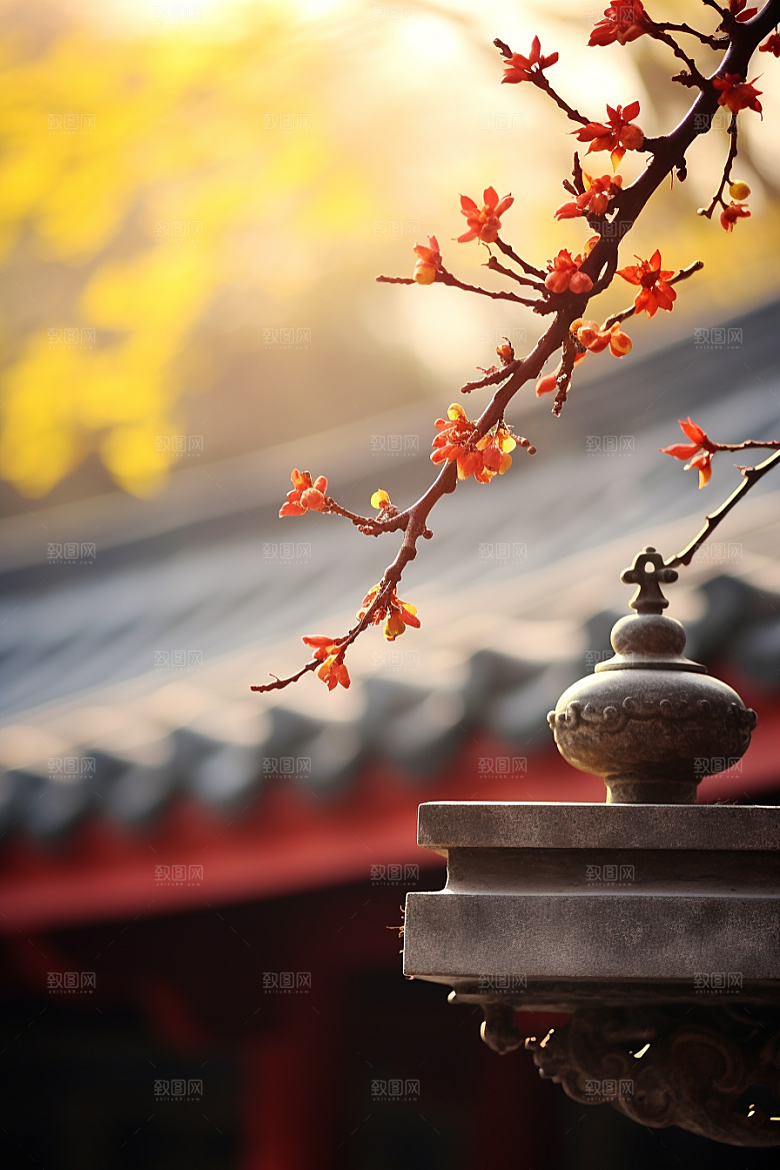 冬天腊梅花植物传统摄影图