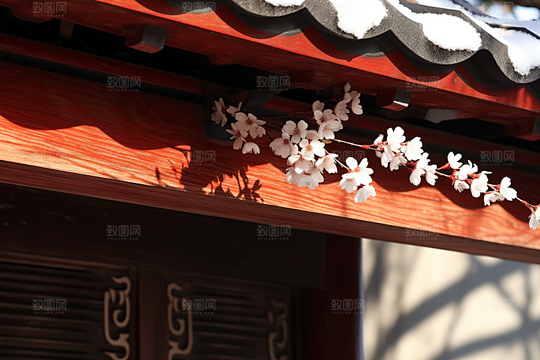 冬天腊梅花寒冷芬芳摄影图