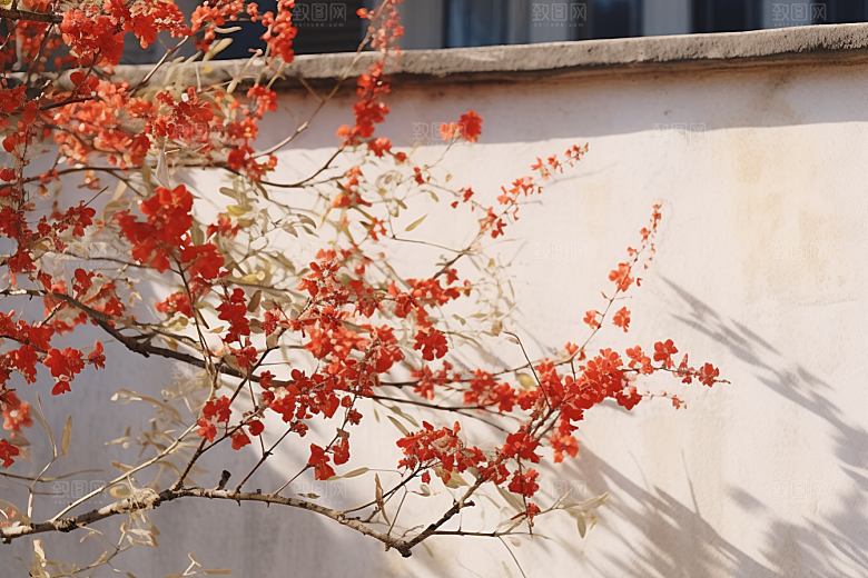 冬天腊梅花芬芳新中式摄影图