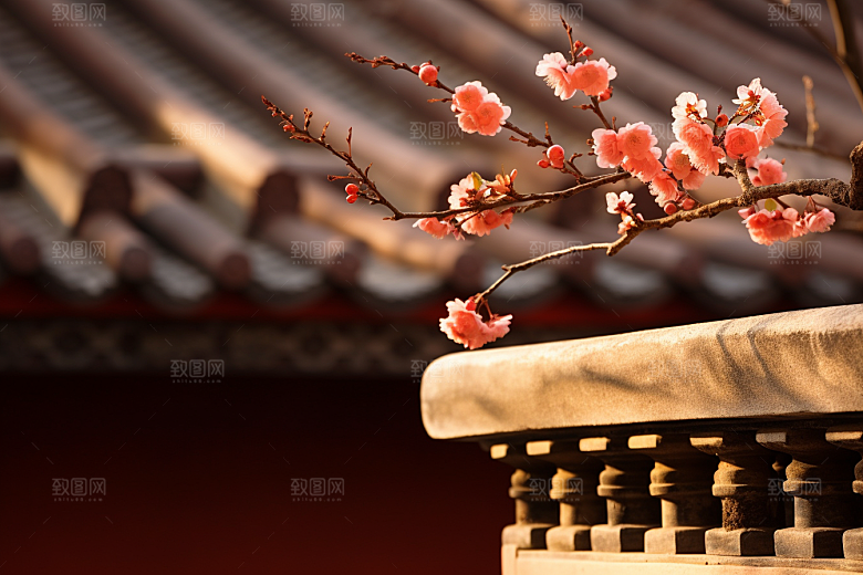 冬天腊梅花花卉传统摄影图