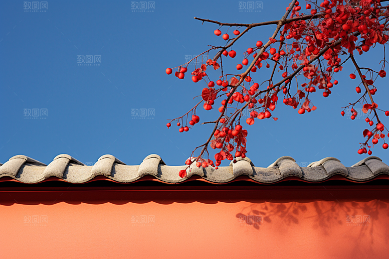 冬天腊梅花中国风冬季摄影图