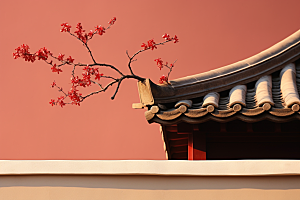 冬天腊梅花高清自然摄影图