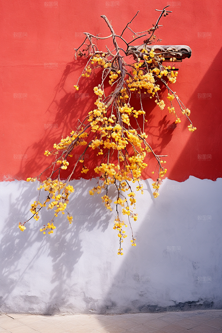 冬天腊梅花植物园林摄影图