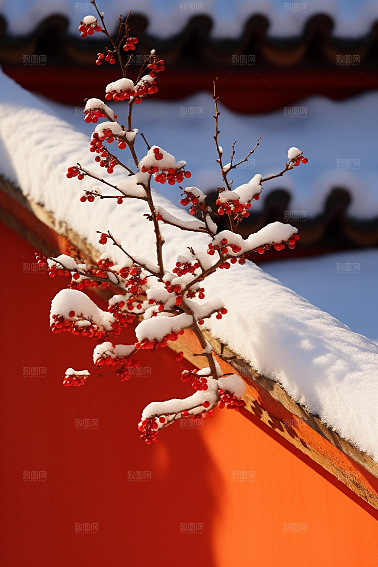冬天腊梅花芬芳冬季摄影图