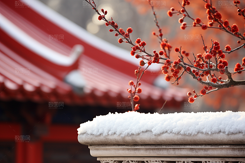 冬天腊梅花高清传统摄影图