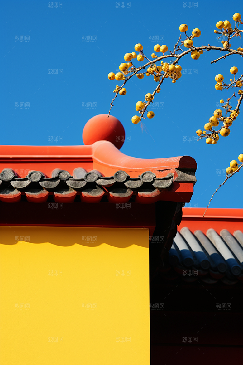 冬天腊梅花自然传统摄影图