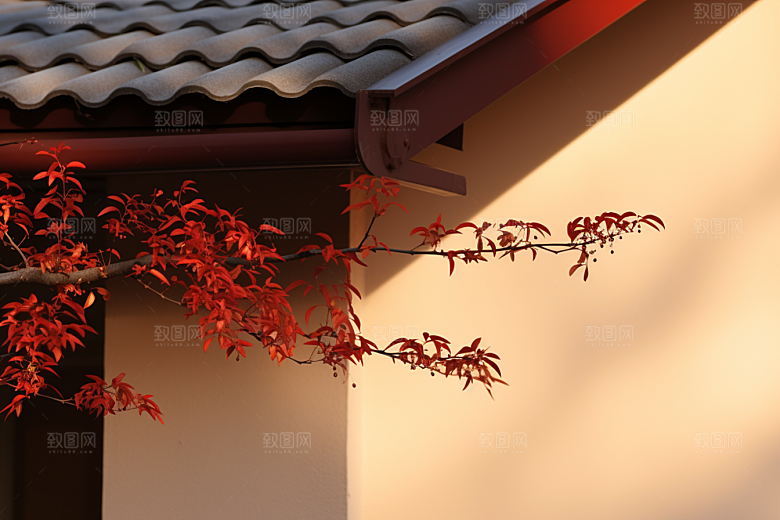 冬天腊梅花花卉芬芳摄影图