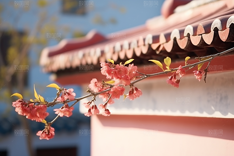 冬天腊梅花自然园林摄影图