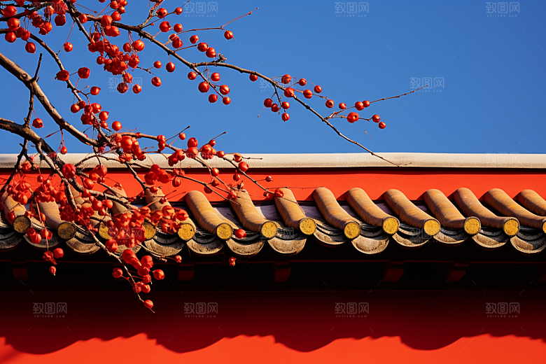 冬天腊梅花园林中国风摄影图