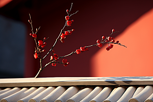 冬天腊梅花自然植物摄影图