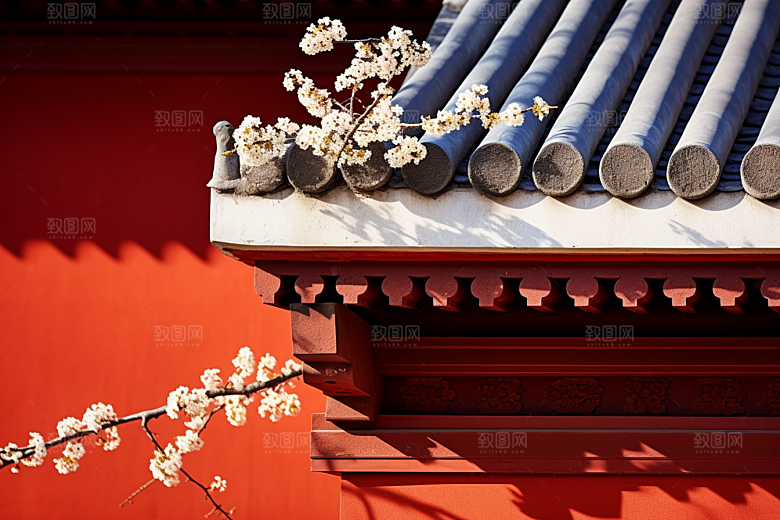 冬天腊梅花中国风园林摄影图
