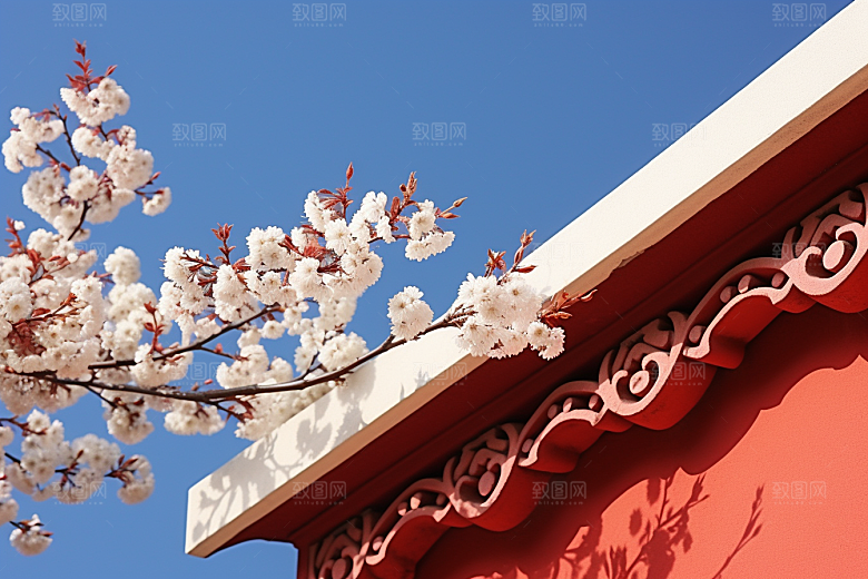 冬天腊梅花寒冷优雅摄影图