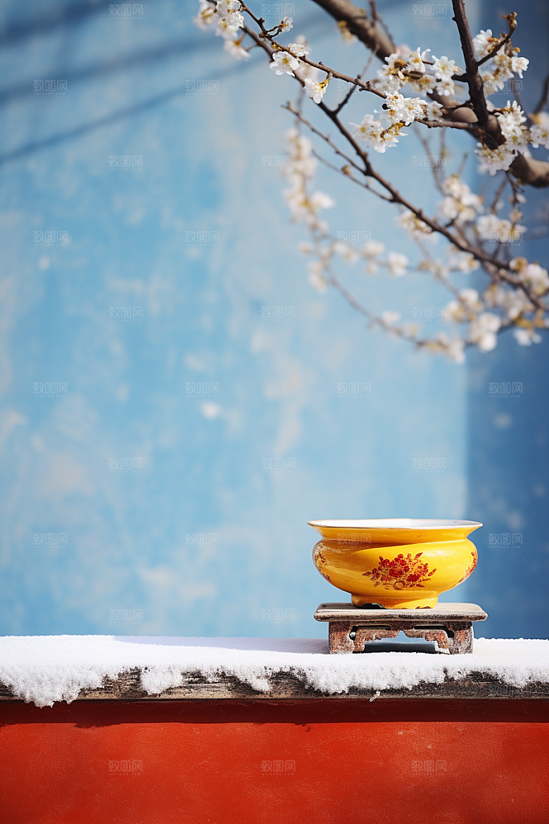 冬天腊梅花新中式芬芳摄影图