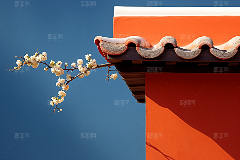 冬天腊梅花传统寒冷摄影图