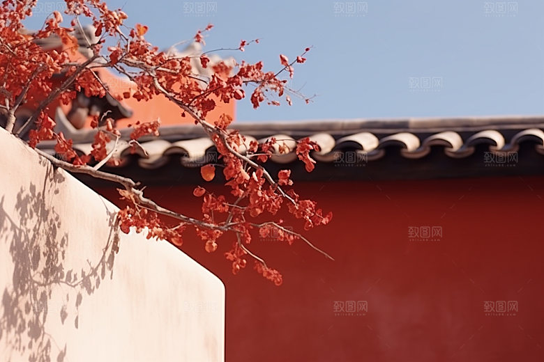 冬天腊梅花植物冬季摄影图