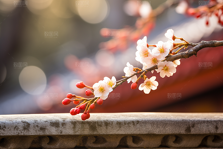 冬天腊梅花寒冷园林摄影图