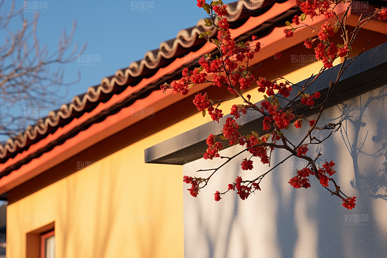 冬天腊梅花芬芳传统摄影图