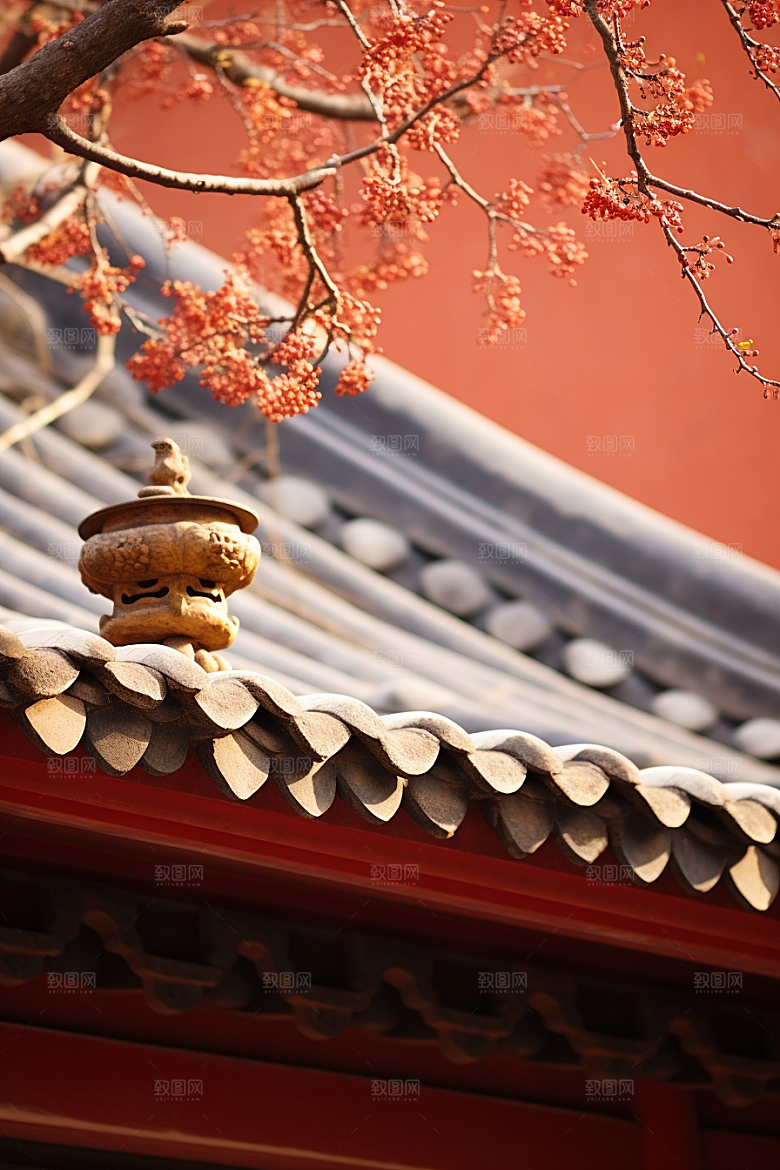 冬天腊梅花高清冬季摄影图