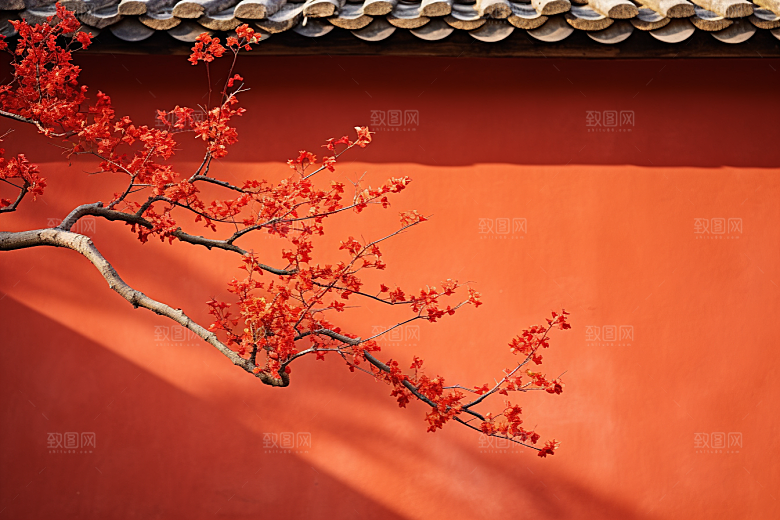 冬天腊梅花园林高清摄影图