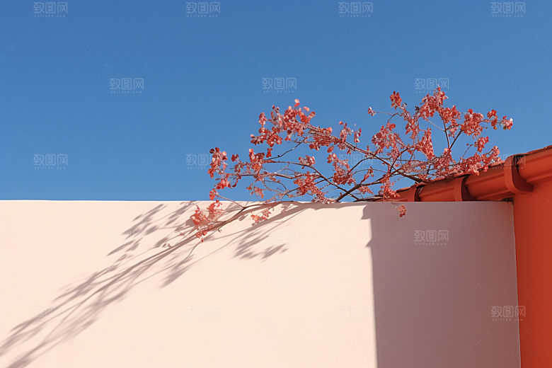 冬天腊梅花冬季花卉摄影图